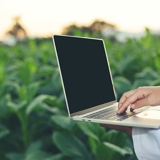 Notebook em meio a uma plantação